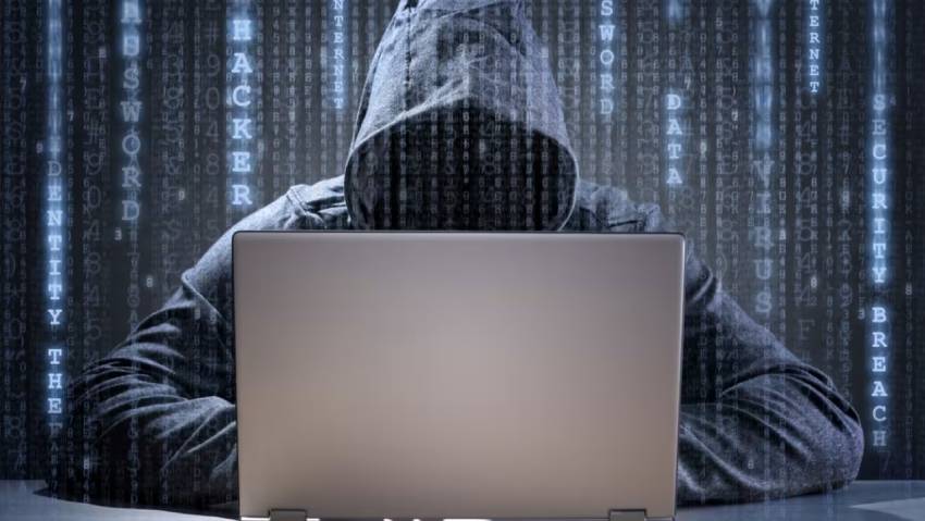 武威小程序开发公司：构建企业数字化转型的坚实基石